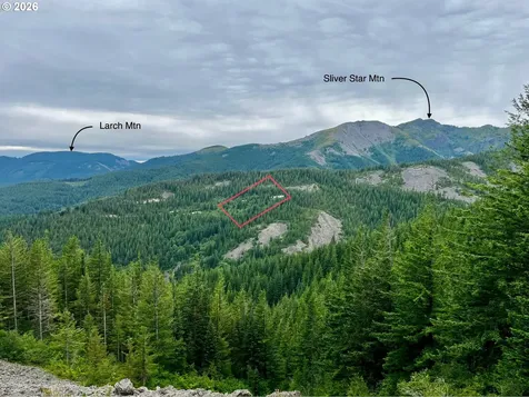 Snag Mountain Road Washougal WA 98671