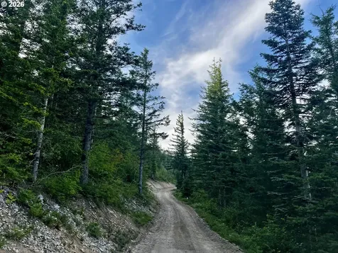 Snag Mountain Road Washougal WA 98671