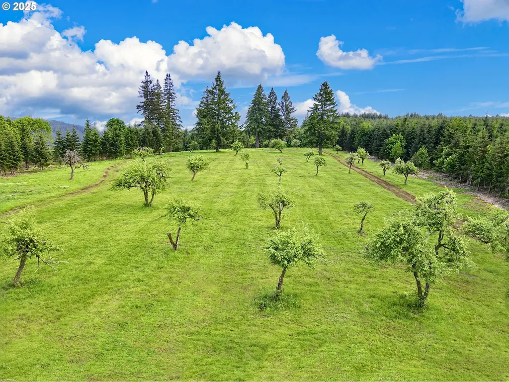 11892 SW Dupee Valley Road Mcminnville OR 97128