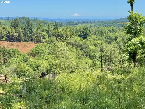 11892 SW Dupee Valley Road Mcminnville OR 97128