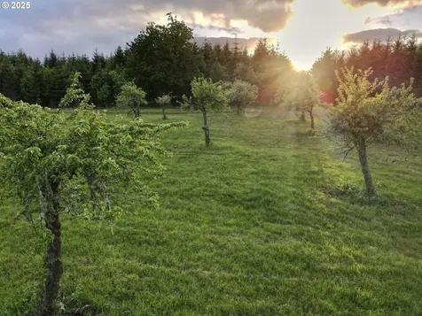 11892 SW Dupee Valley Road Mcminnville OR 97128