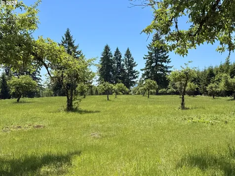 11892 SW Dupee Valley Road Mcminnville OR 97128