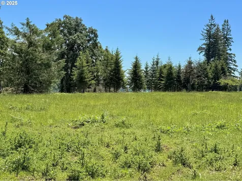 11892 SW Dupee Valley Road Mcminnville OR 97128