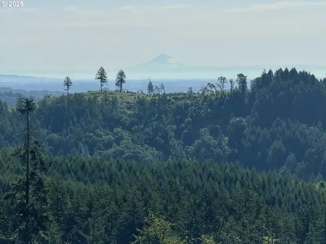 11892 SW Dupee Valley Road Mcminnville OR 97128