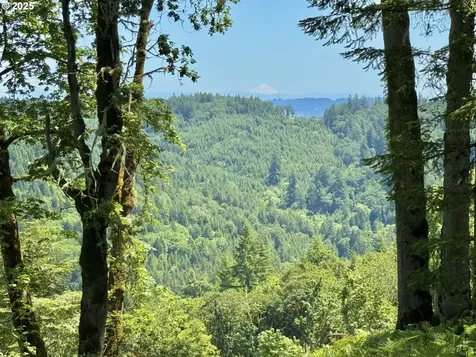 11892 SW Dupee Valley Road Mcminnville OR 97128