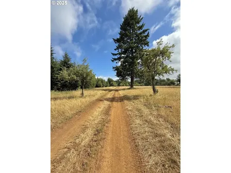 11892 SW Dupee Valley Road Mcminnville OR 97128