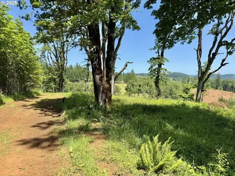 11892 SW Dupee Valley Road Mcminnville OR 97128
