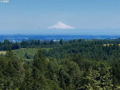 11892 SW Dupee Valley Road Mcminnville OR 97128