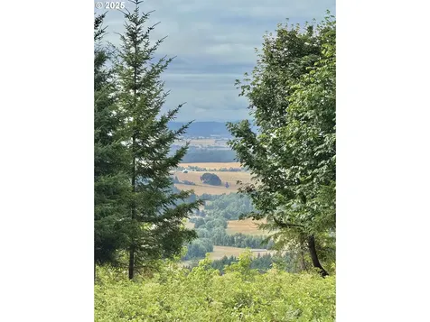 11892 SW Dupee Valley Road Mcminnville OR 97128