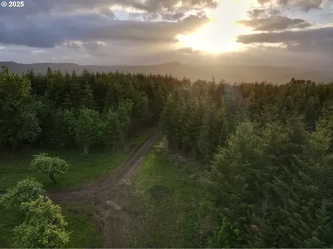 11892 SW Dupee Valley Road Mcminnville OR 97128