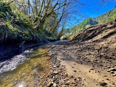 769 Deans Creek Road Reedsport OR 97467