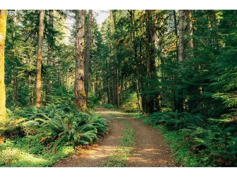 57255 N Bank Road Mckenzie Bridge OR 97413