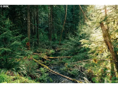 57255 N Bank Road Mckenzie Bridge OR 97413