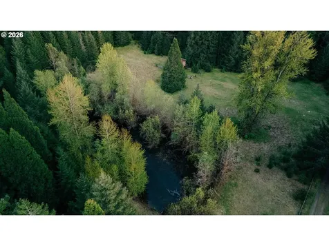 57255 N Bank Road Mckenzie Bridge OR 97413
