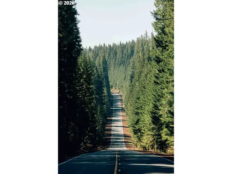 57255 N Bank Road Mckenzie Bridge OR 97413
