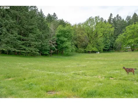 14601 NW Pheasant Hill Road Mcminnville OR 97128