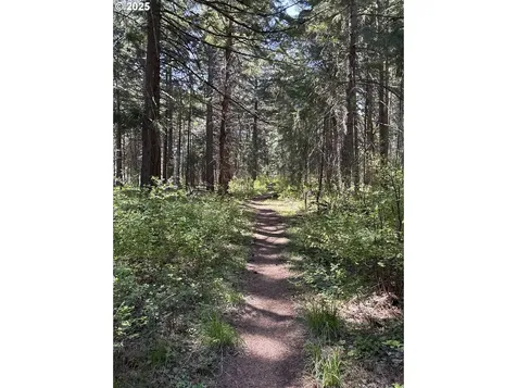 101 Cooke Road White Salmon WA 98672