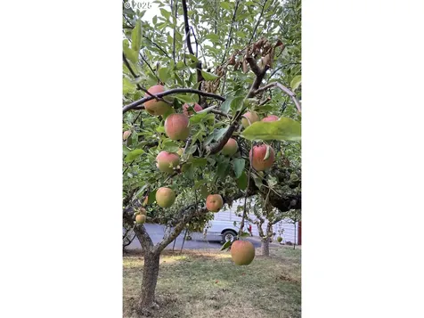 5339 Hardscrabble Road Drain OR 97435