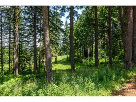 26915 Hammond Road Rainier OR 97048