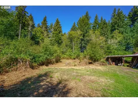 17719 NE Manning Circle Amboy WA 98601