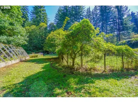 17719 NE Manning Circle Amboy WA 98601