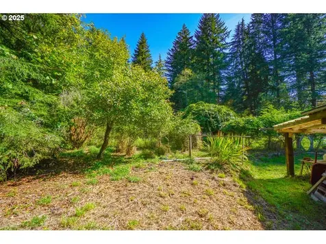 17719 NE Manning Circle Amboy WA 98601