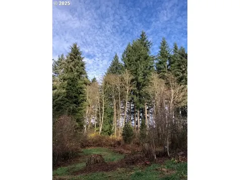 17719 NE Manning Circle Amboy WA 98601