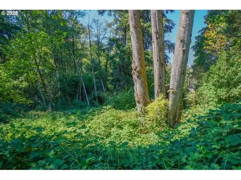17719 NE Manning Circle Amboy WA 98601