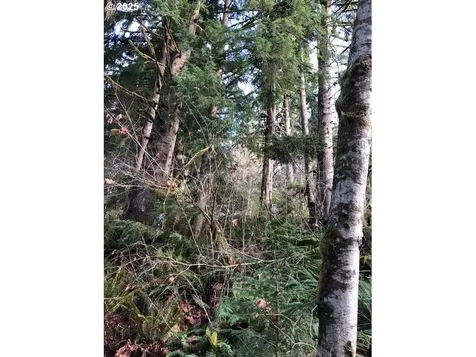 17719 NE Manning Circle Amboy WA 98601