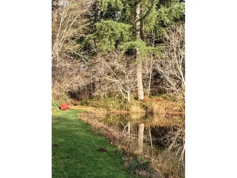 17719 NE Manning Circle Amboy WA 98601
