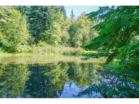 17719 NE Manning Circle Amboy WA 98601