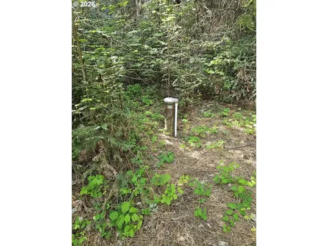 983 Snowden Road White Salmon WA 98672