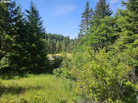 983 Snowden Road White Salmon WA 98672