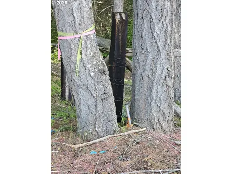 983 Snowden Road White Salmon WA 98672