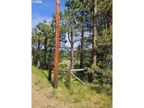 983 Snowden Road White Salmon WA 98672