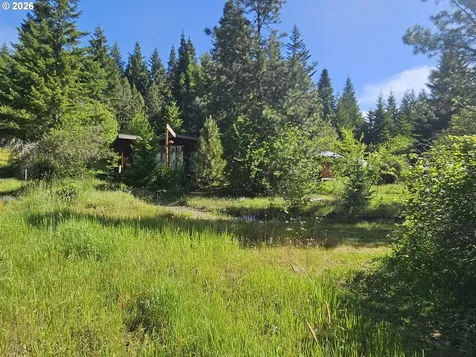 983 Snowden Road White Salmon WA 98672