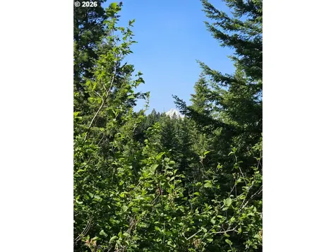 983 Snowden Road White Salmon WA 98672
