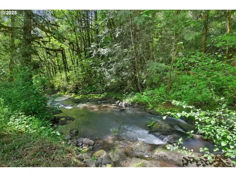 78650 Rat Creek Road Cottage Grove OR 97424