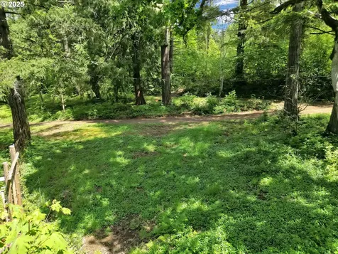 78650 Rat Creek Road Cottage Grove OR 97424