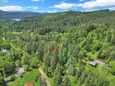 78650 Rat Creek Road Cottage Grove OR 97424