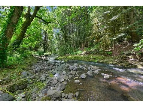 78650 Rat Creek Road Cottage Grove OR 97424
