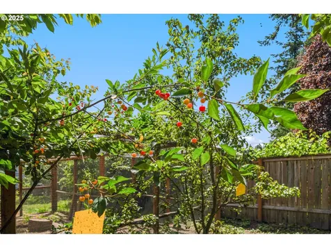 7925 SW 66th Avenue Portland OR 97223