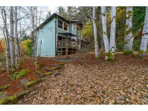 45245 SW Saddleback Drive Gaston OR 97119