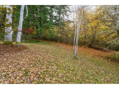 45245 SW Saddleback Drive Gaston OR 97119