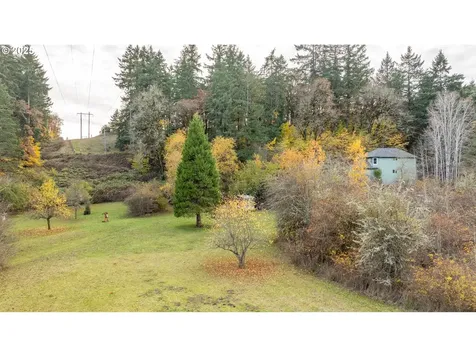 45245 SW Saddleback Drive Gaston OR 97119