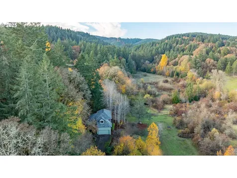 45245 SW Saddleback Drive Gaston OR 97119