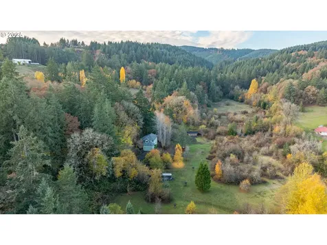 45245 SW Saddleback Drive Gaston OR 97119