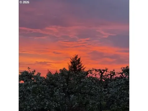 12016 NE 245th Court Brush Prairie WA 98606