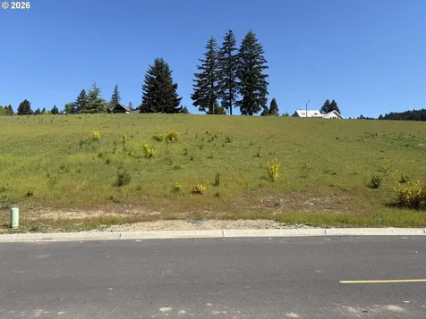 115 NE Upper Basso Circle Stevenson WA 98648