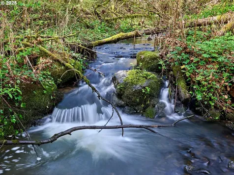 15361 Clackamas River Drive Oregon City OR 97045